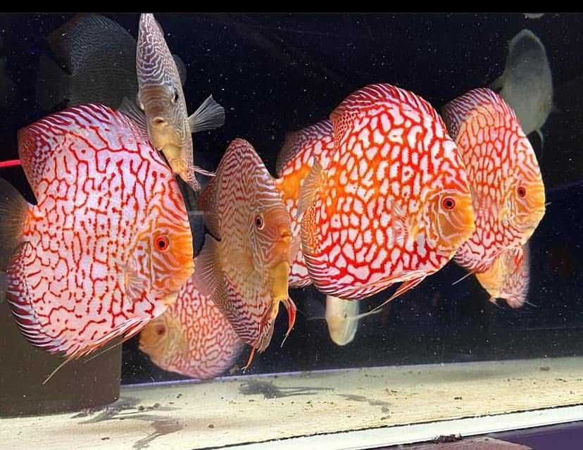 Read more about the article Demo Post 2